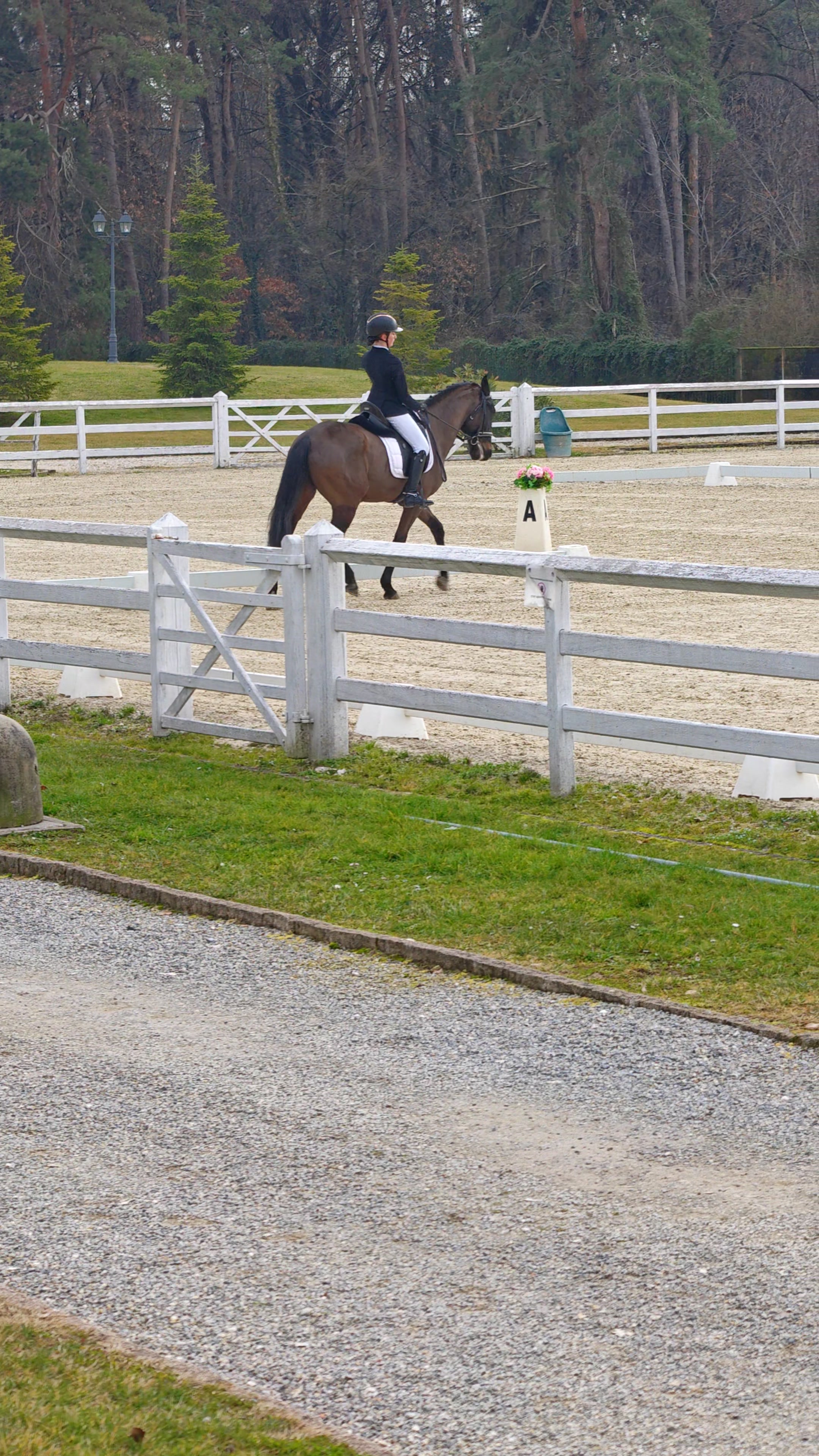 Errore: Perdita ritmo diagonale