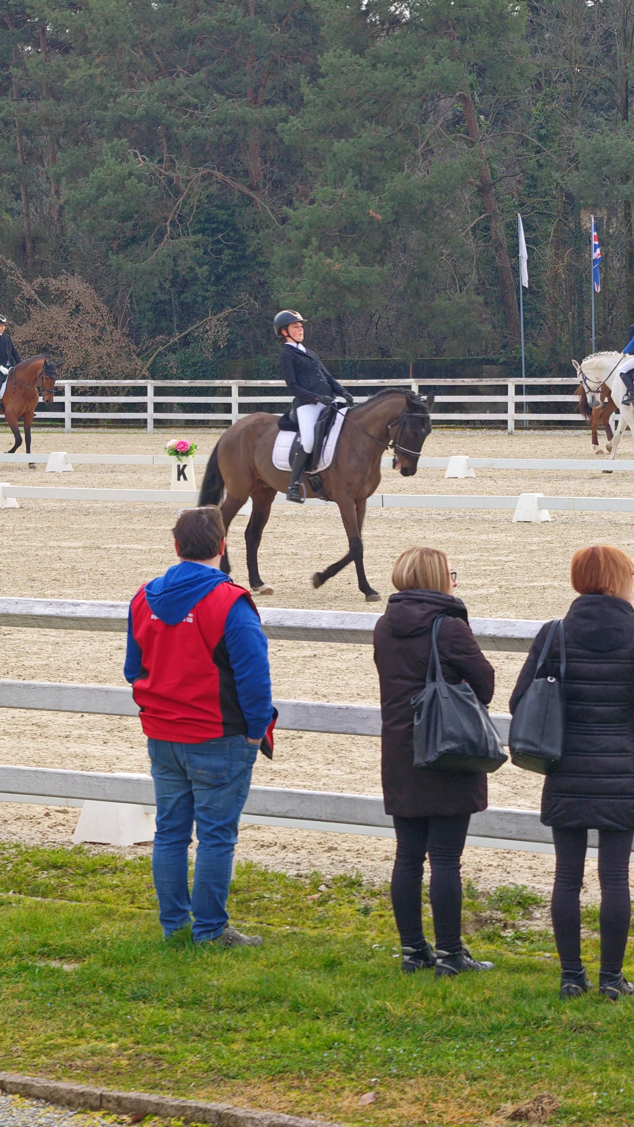 Errore: Assetto spalle cavaliere