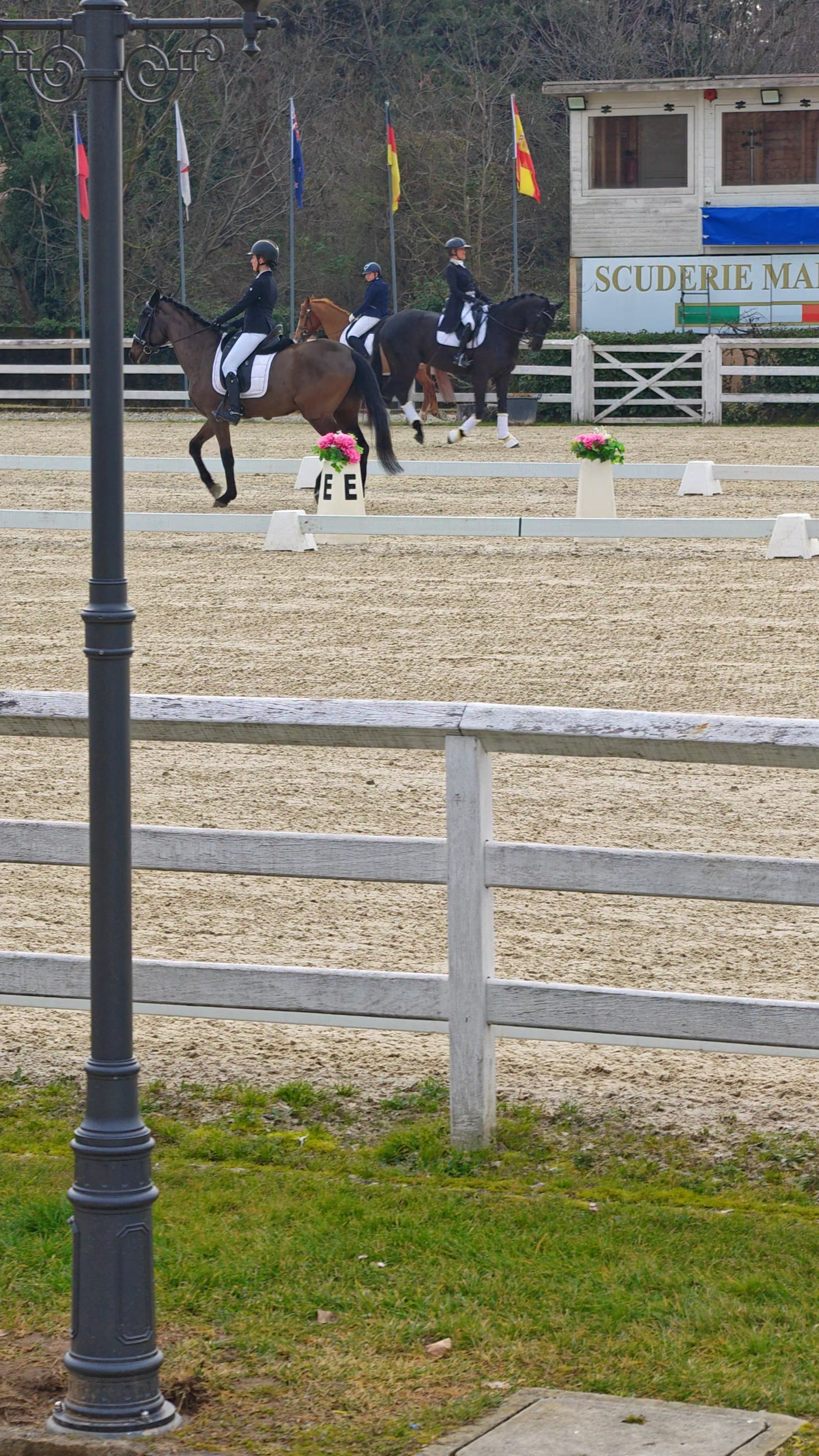 Saliente: Alt e Saluto