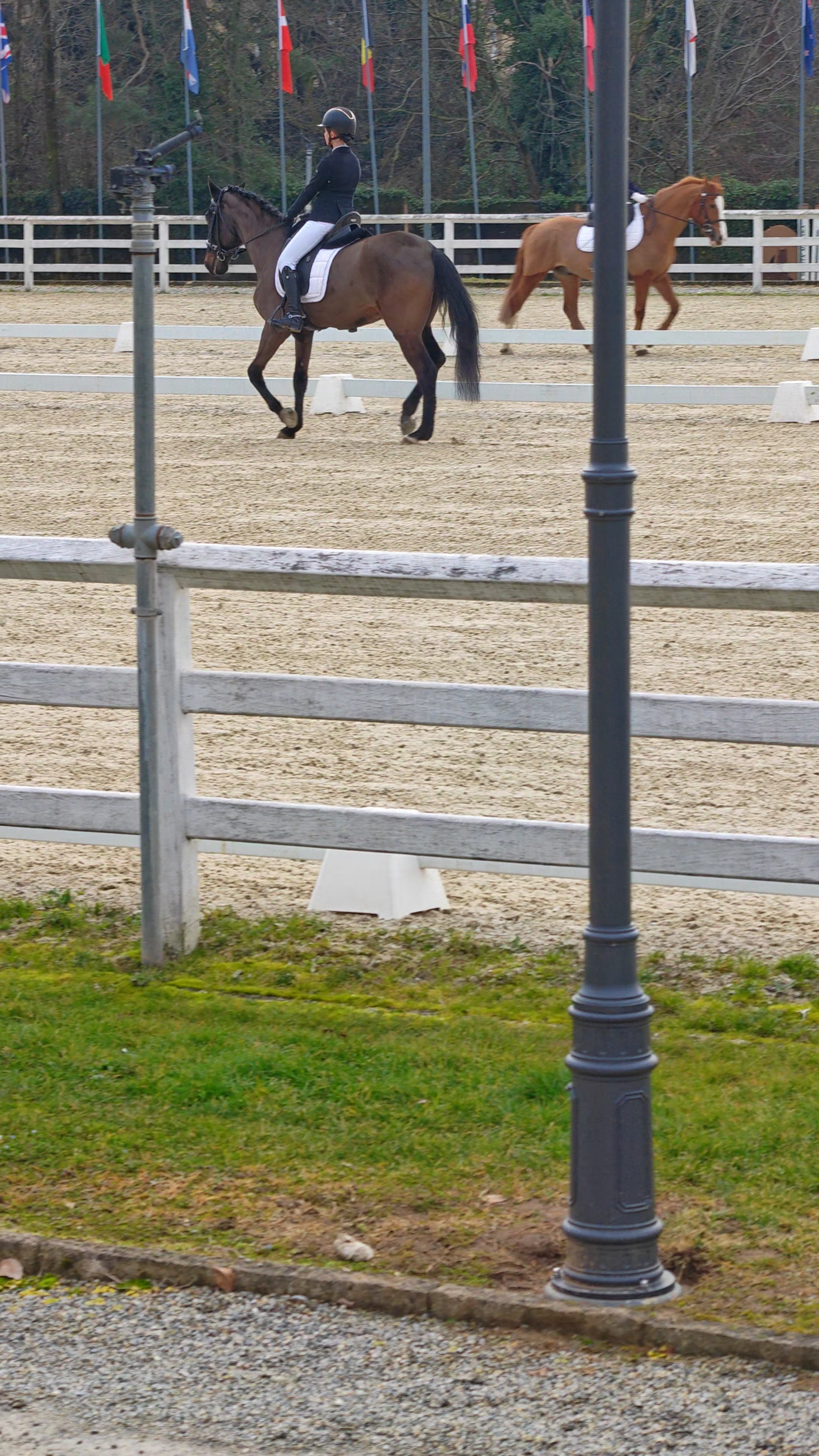 Saliente: Trotto di lavoro