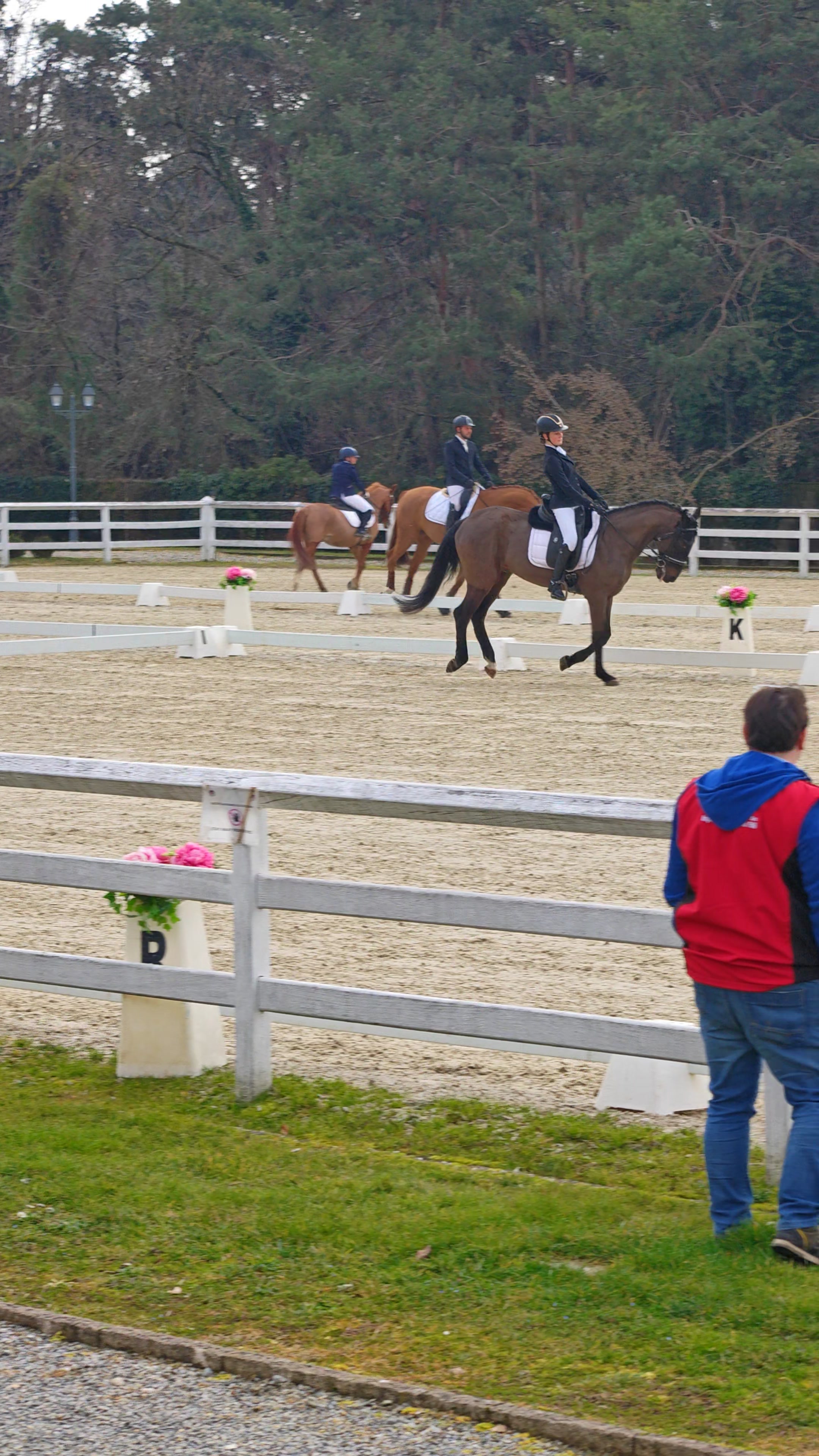 Saliente: Passo medio