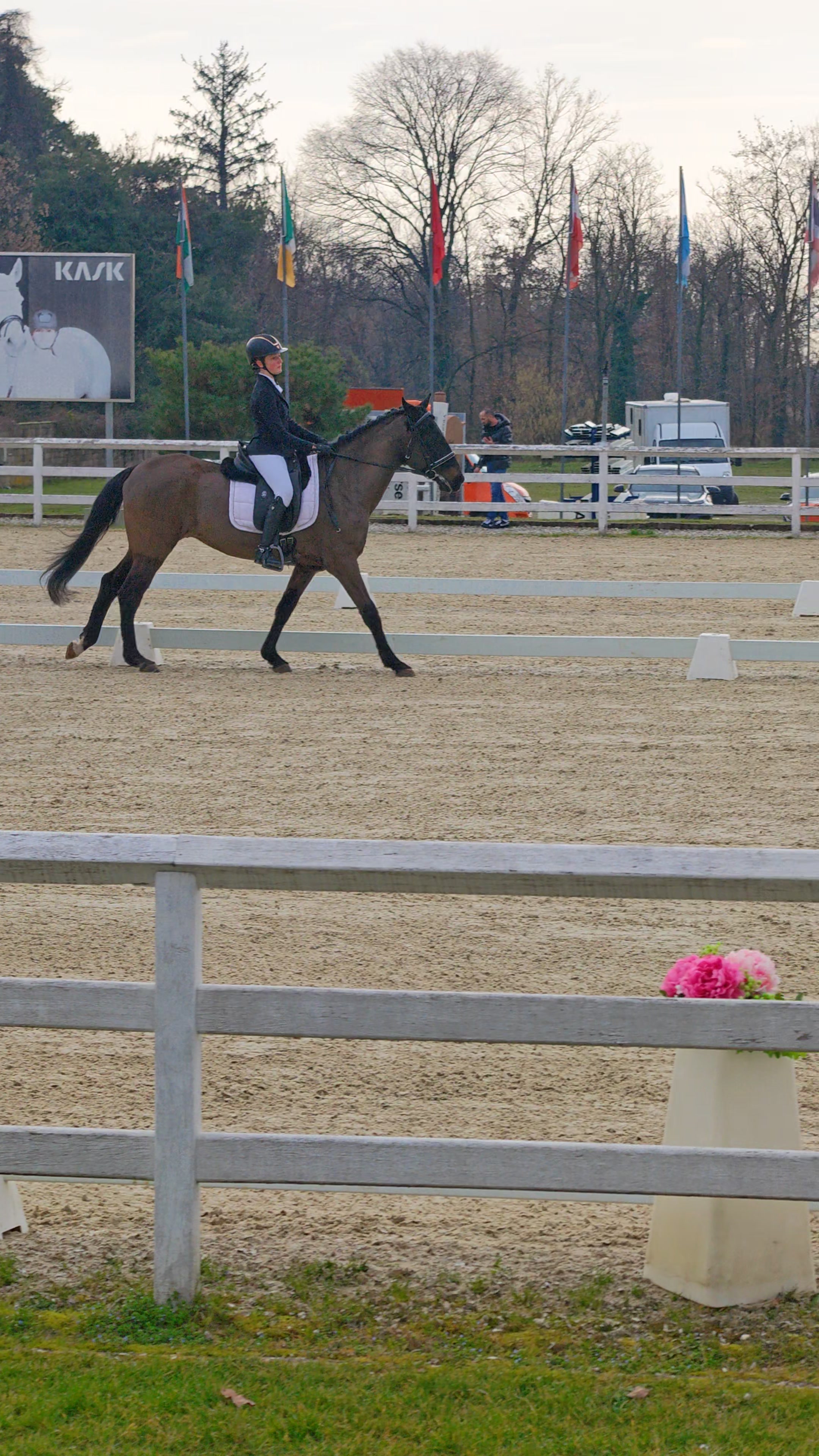 Saliente: Diagonale al trotto