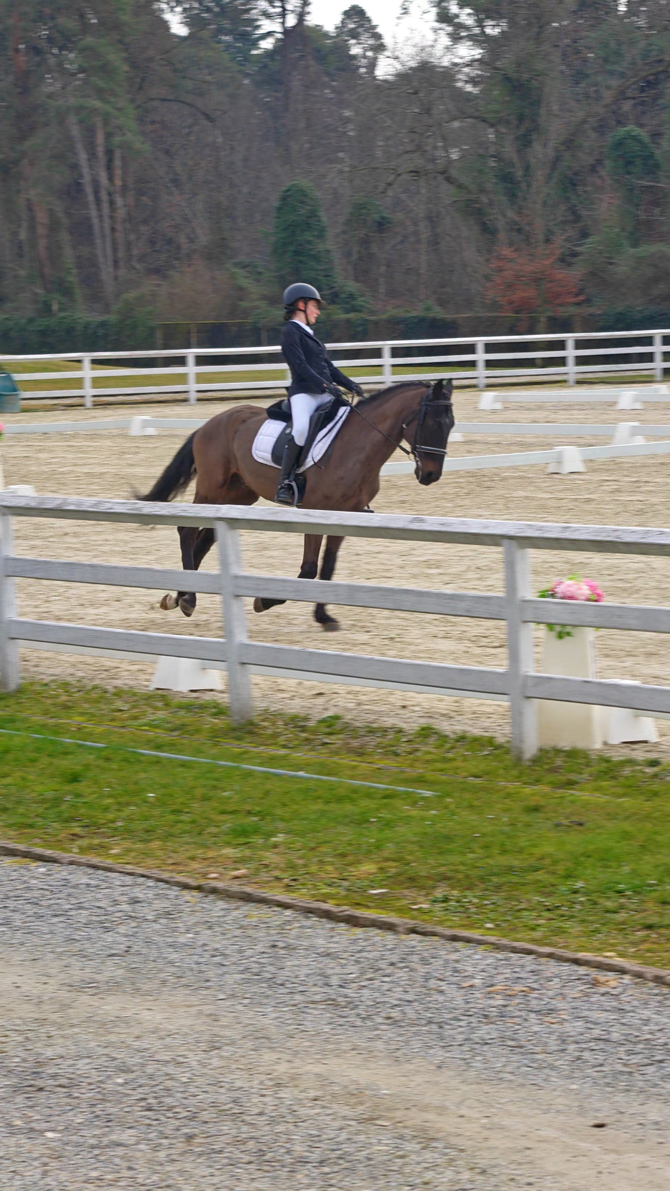 Saliente: Galoppo a sinistra