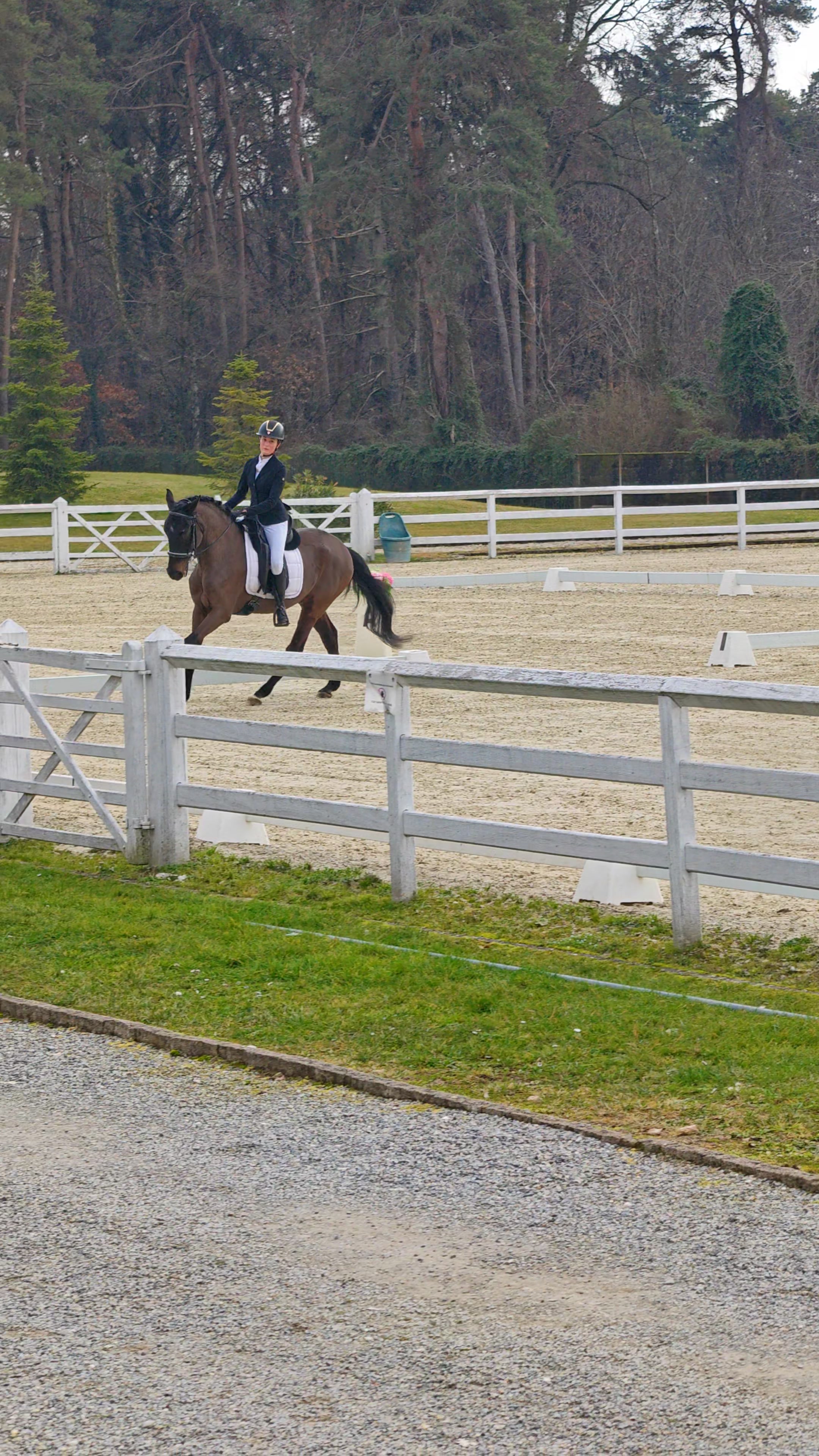 Saliente: Circolo al galoppo