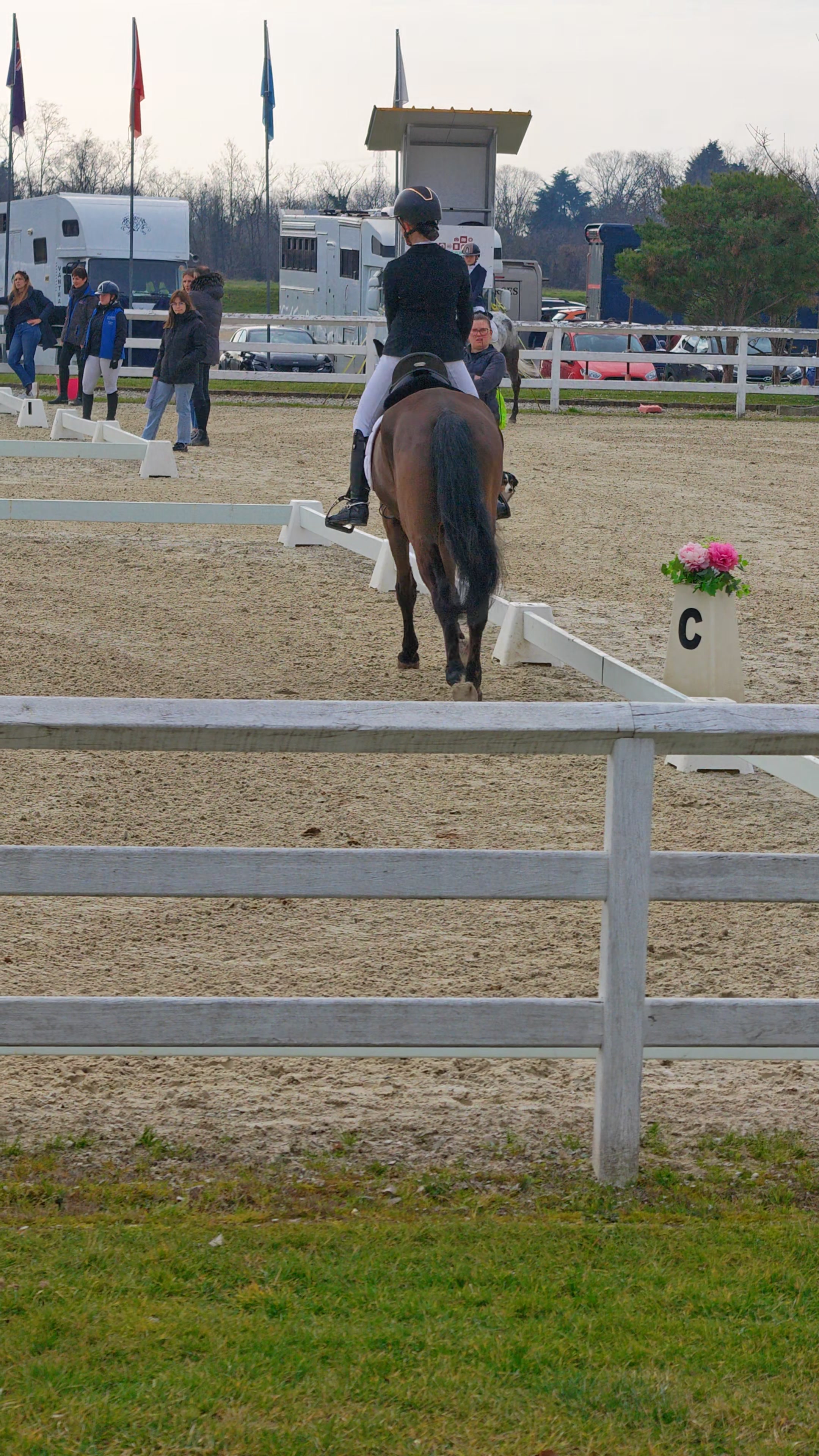 Saliente: Transizione passo-galoppo