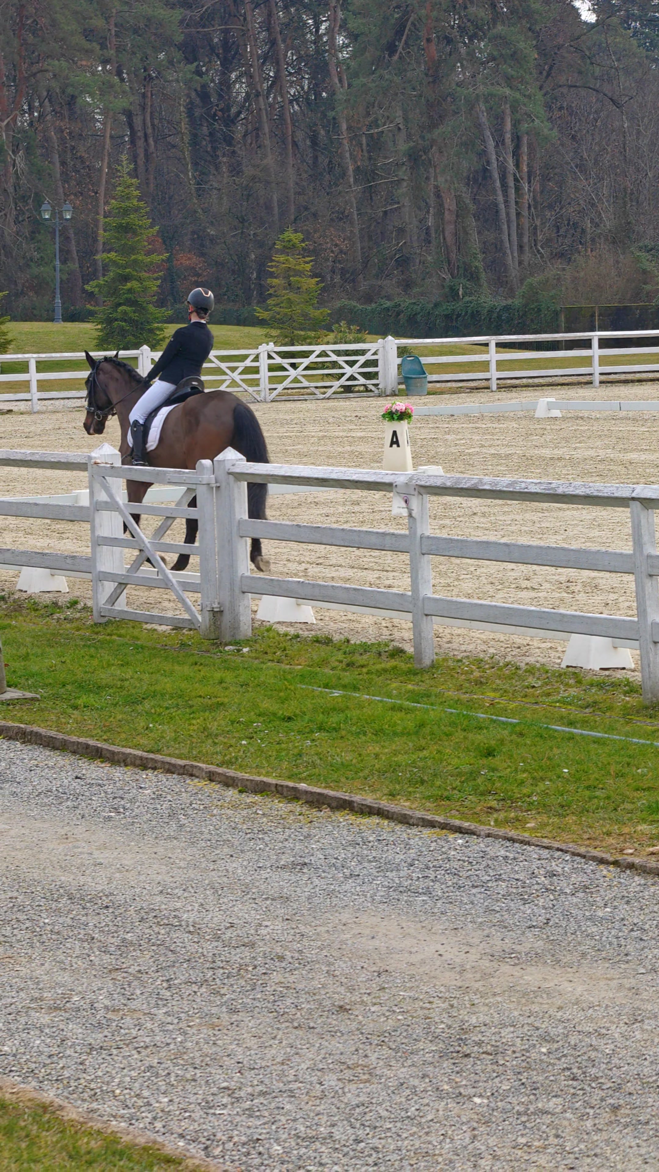 Saliente: Trotto finale