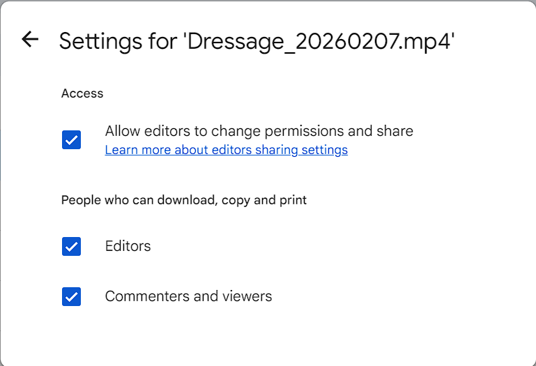 Google Drive — Impostazioni download abilitato